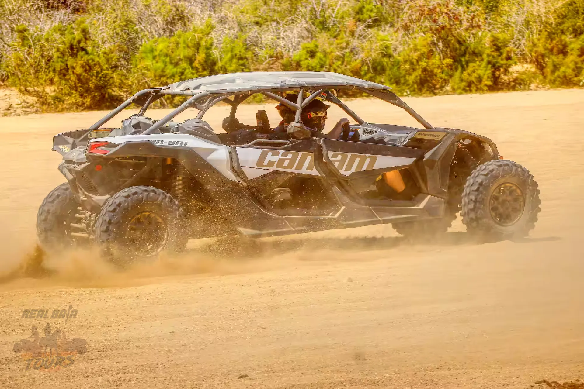 Can-Am four-seater UTV levantando polvo while driving through terreno desértico in Baja California Sur