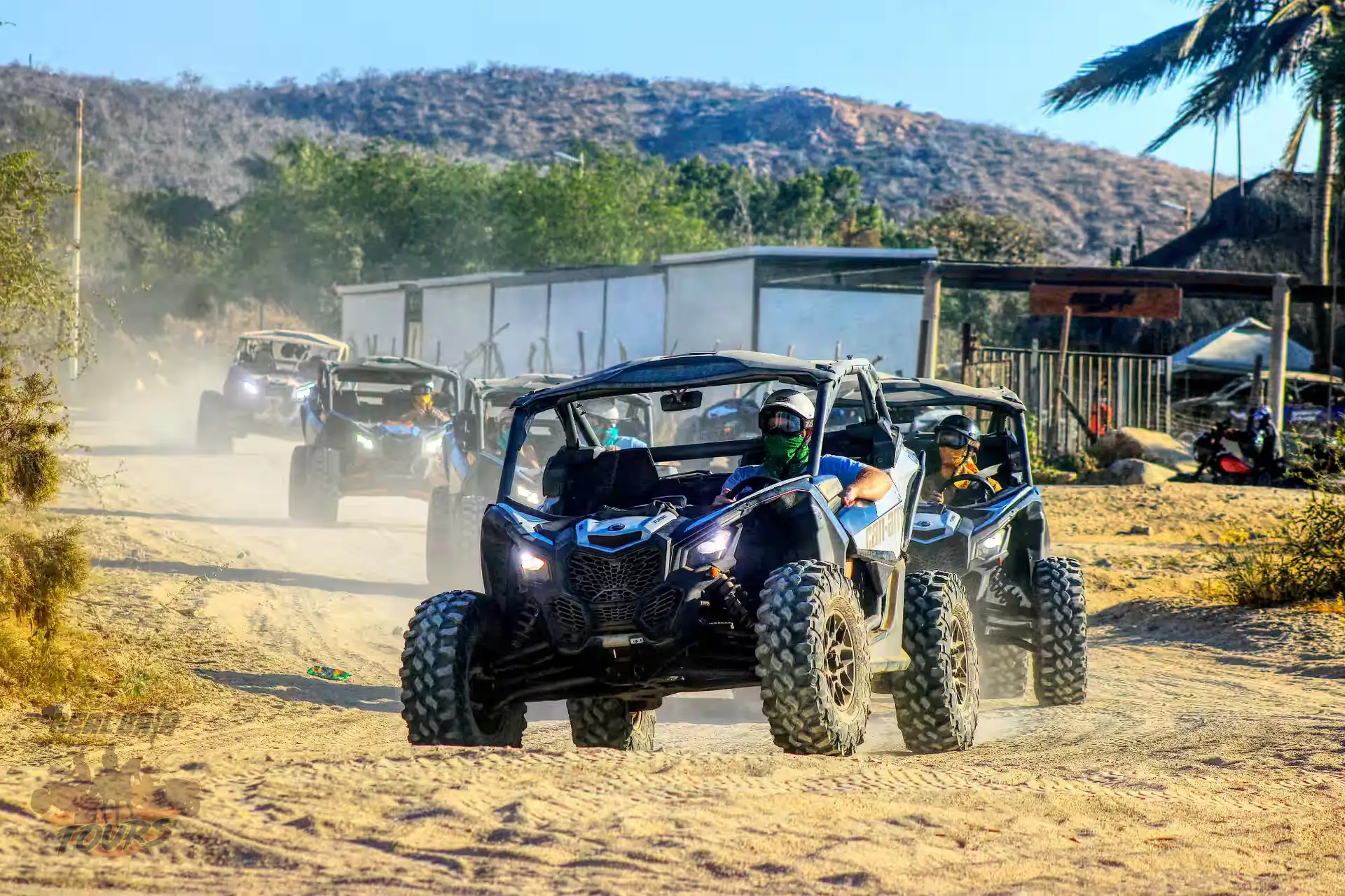Group of off-road buggies kicking up dust on a desert trail in Baja California Sur with mountains and palm trees in background Group of off-road buggies kicking up dust on a desert trail in Baja California Sur with mountains and palm trees in background