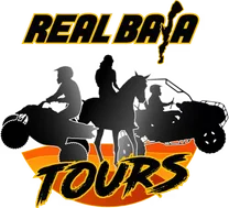 Real Baja Tours