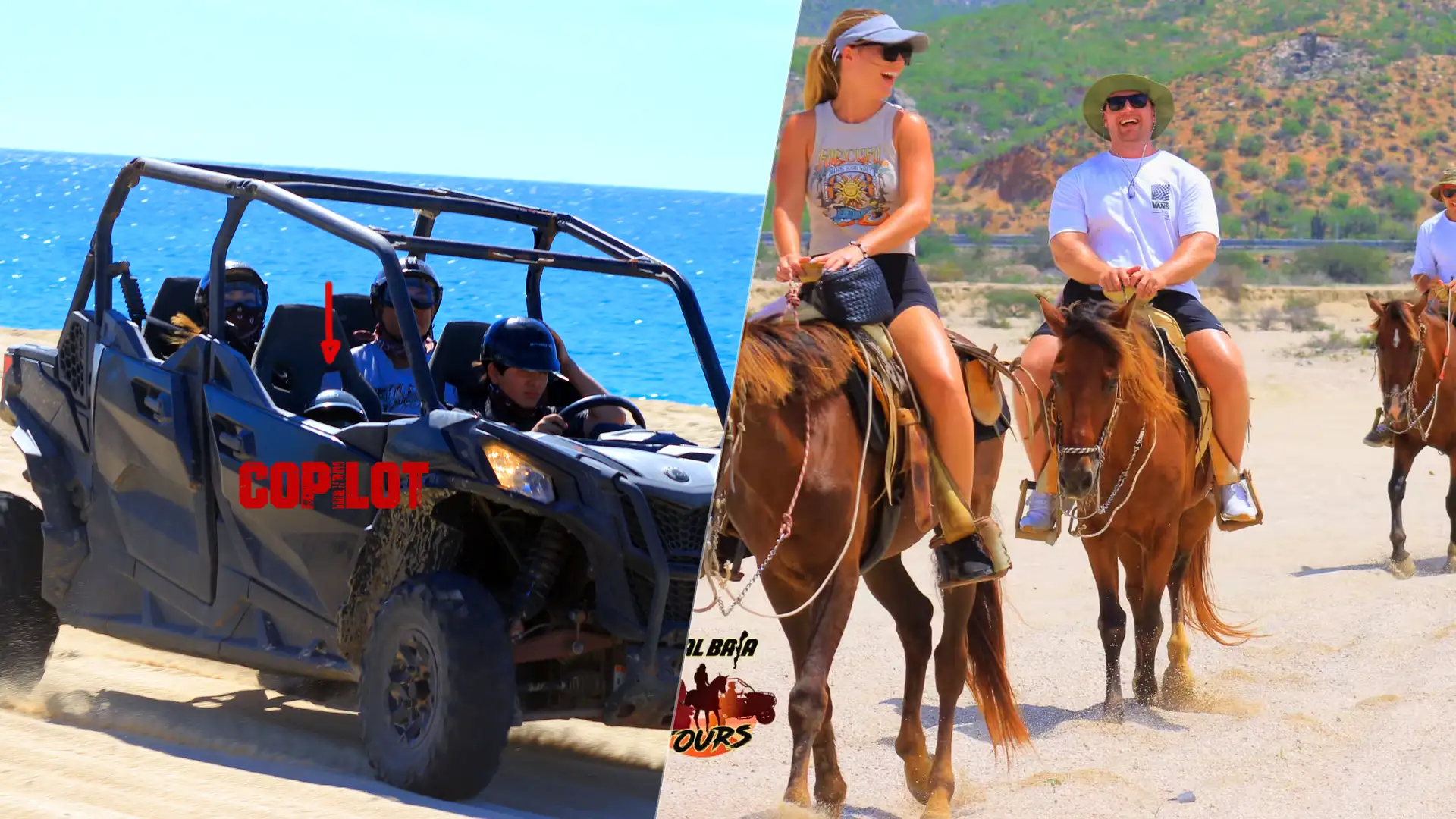 Quadruple UTV and 4 Horses