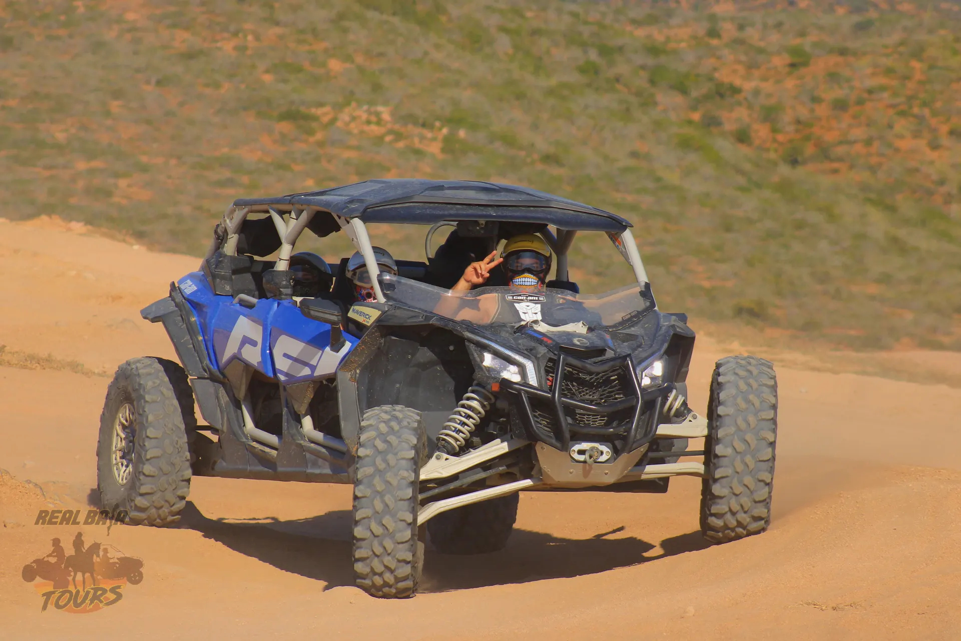Blue and black UTV buggy driving on sandy sendero del desierto in Baja California Sur with sparse vegetation
