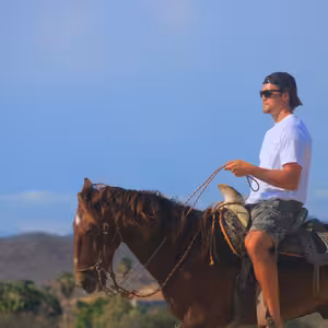 Horseback rider looking out over the Baja California desert hills