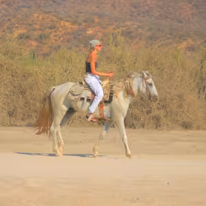 Horseback rider trotting across a sandy clearing in the desert