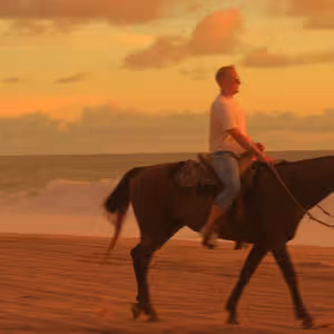 Horseback rider silhouetted on the beach at sunset