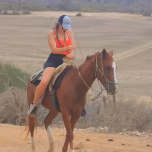 Rider guiding a horse across an open desert plain