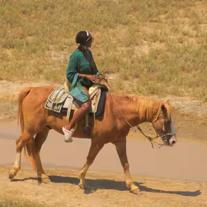 Horseback rider crossing a green streamside trail