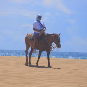 Horseback rider on the beach with turquoise ocean water behind