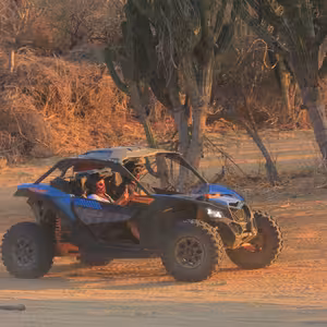 Can-Am X3 buggy parked on the beach at golden hour beside desert cactus