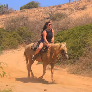 Horse and rider trotting along a dusty desert trail kicking up dust, framed by green Baja scrubland