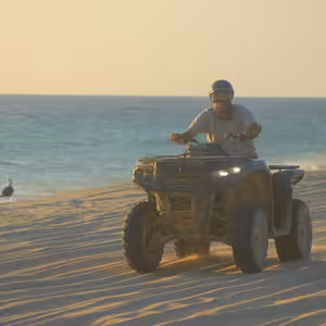 ATV rider on the beach at golden hour with a seagull nearby
