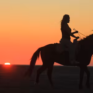 Silhouette of a horseback rider on the beach at sunset with the sun setting over the ocean