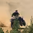 ATV rider kicks up dust on desert trail in Baja California Sur with green vegetation