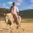 Horse Back Ride