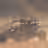 Can-Am X3 Turbo driving through hazy golden-hour dust on a desert trail