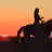 Horse Back Ride sunset