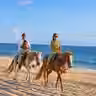 Horseback Riding Beach Tour